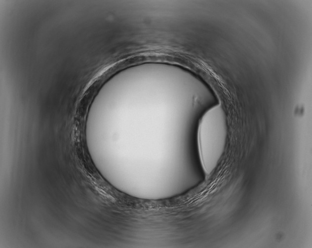 X0000101211208200806270845