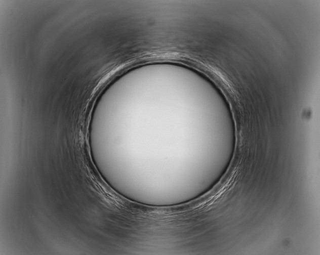 X0000101211212200806270845