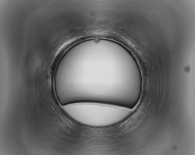 X0000101211214200806270845