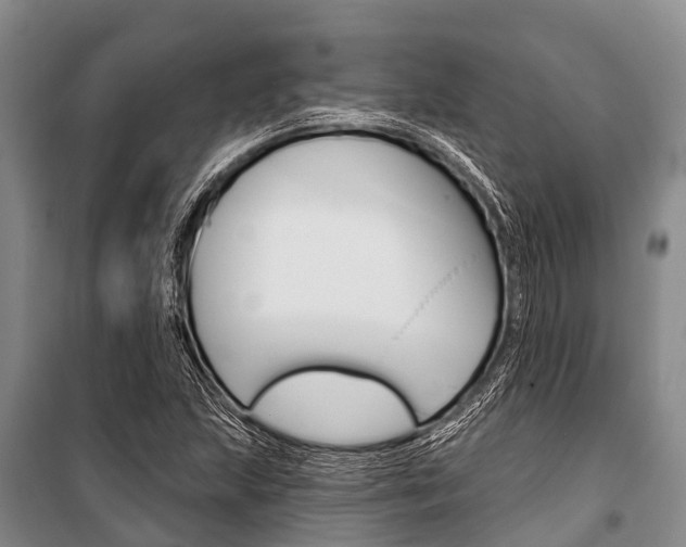 X0000101211215200806270845