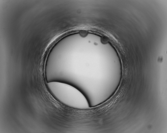 X0000101211216200806270845