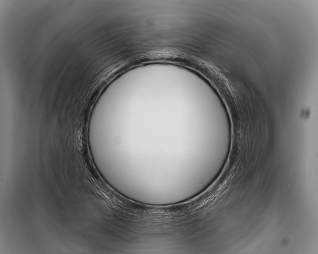 X0000101211217200806270845