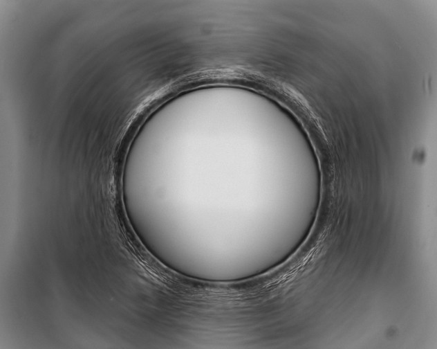 X0000101211218200806270845