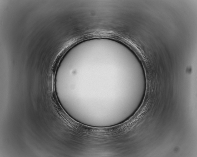 X0000101211219200806270845
