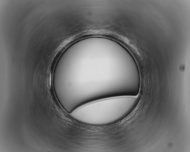 X0000101211221200806270845