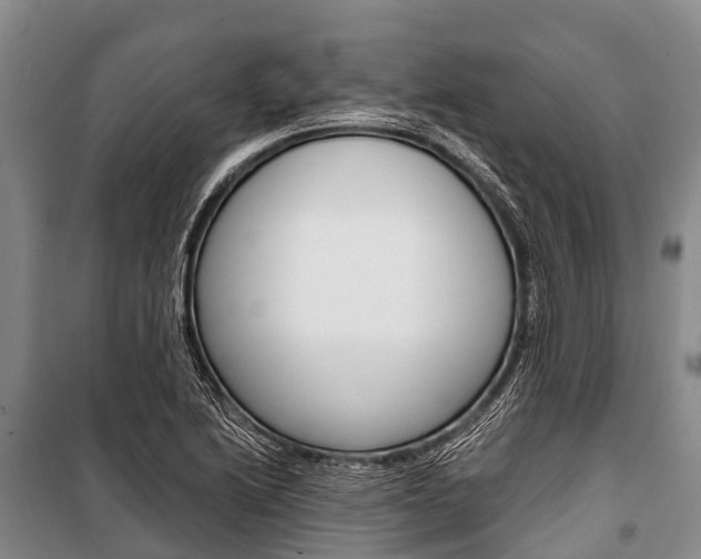 X0000101211222200806270846