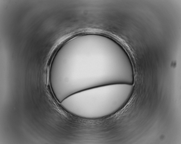 X0000101211223200806270846