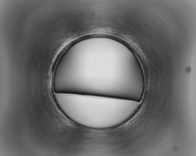 X0000101211224200806270846