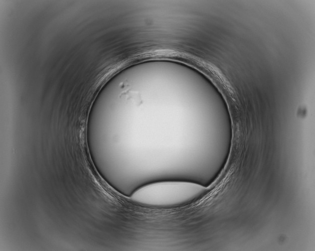 X0000101211225200806270846