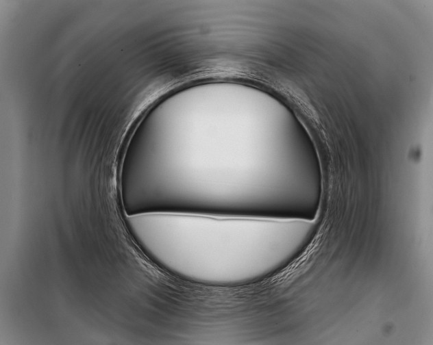 X0000101211226200806270846