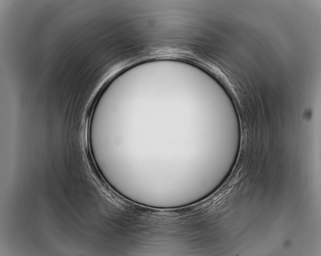X0000101211227200806270846