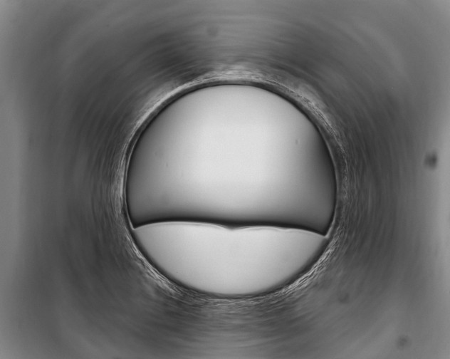 X0000101211228200806270846