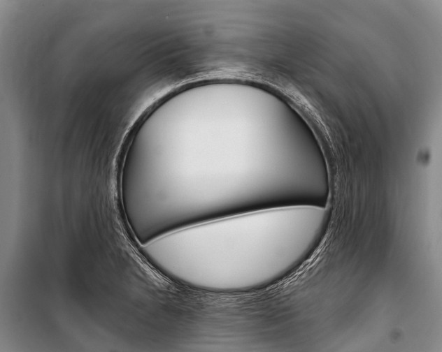 X0000101211230200806270846