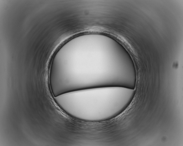 X0000101211232200806270846