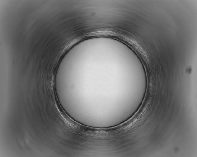 X0000101211233200806270846