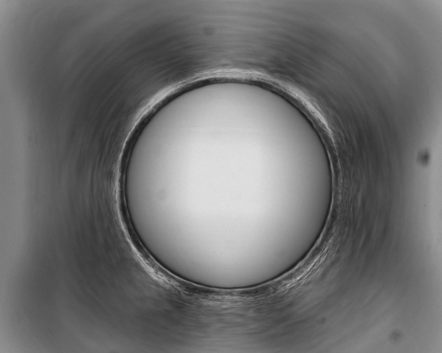 X0000101211237200806270846