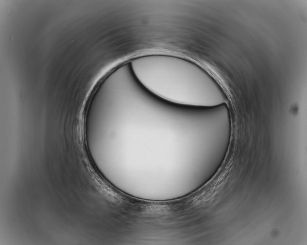 X0000101211238200806270846