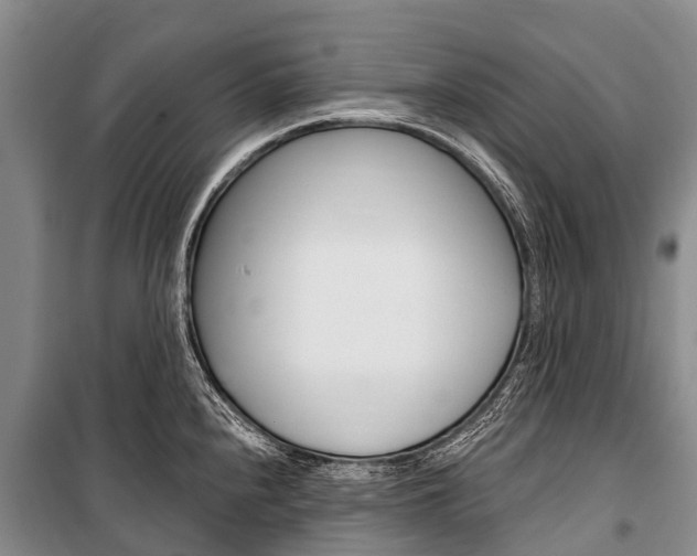 X0000101211240200806270846