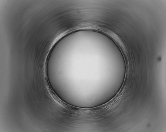 X0000101211242200806270846