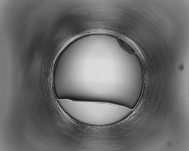 X0000101211244200806270846