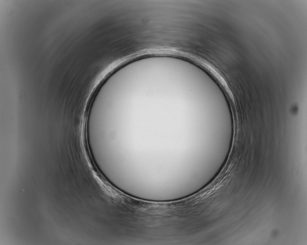 X0000101211245200806270846