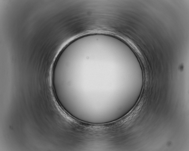 X0000101211246200806270846