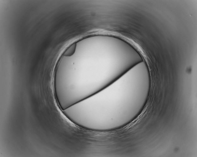 X0000101211247200806270846