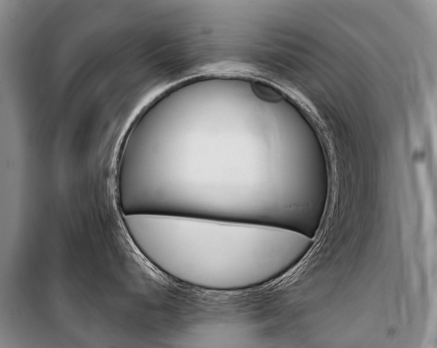 X0000101211248200806270846