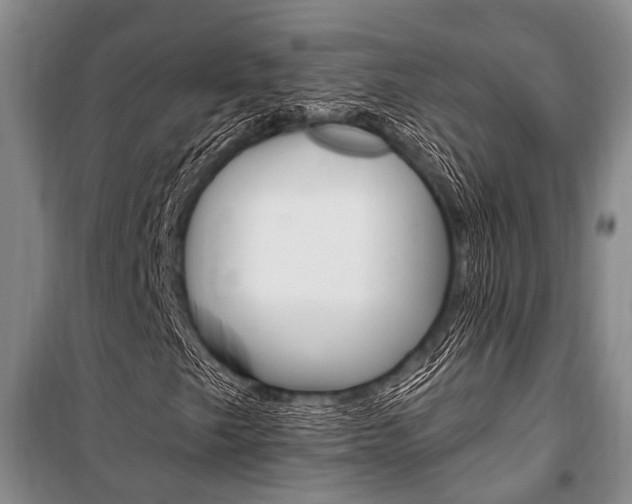 X0000101211249200806270845