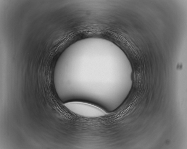X0000101211250200806270845