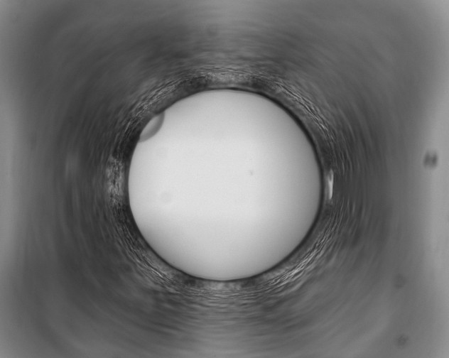 X0000101211251200806270845