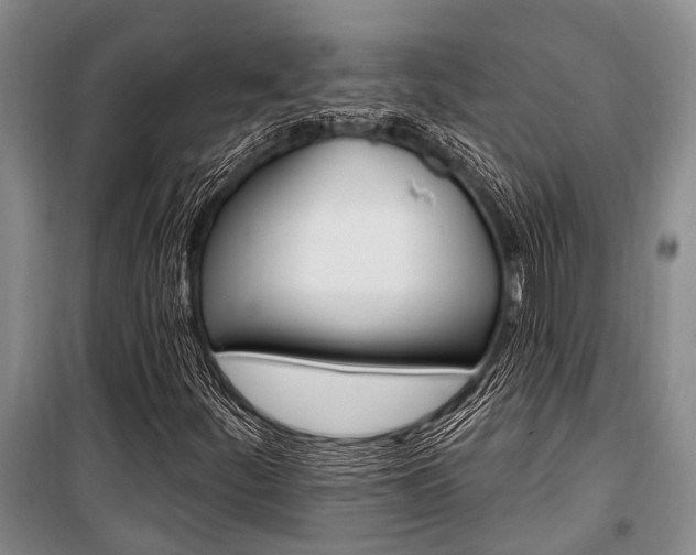 X0000101211252200806270845