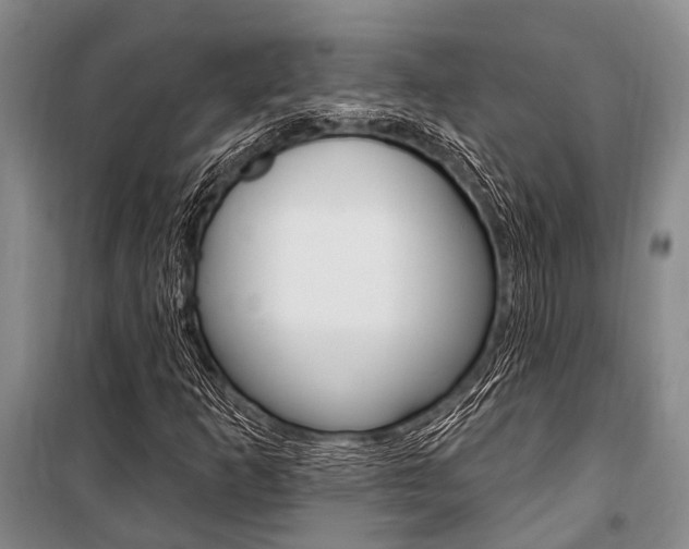 X0000101211253200806270845