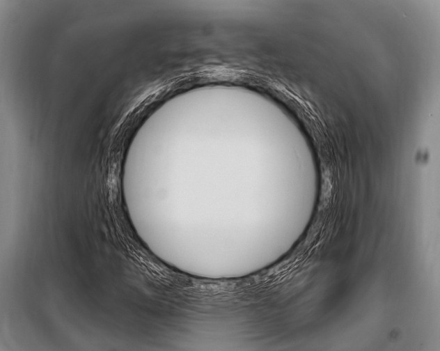 X0000101211254200806270845