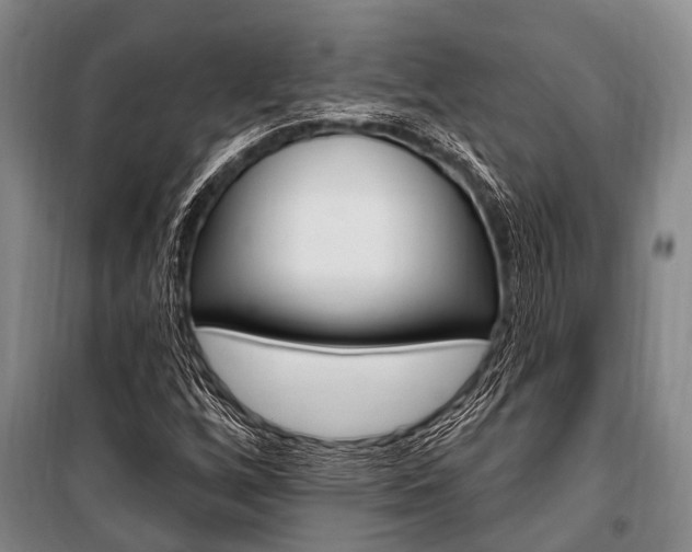 X0000101211256200806270845