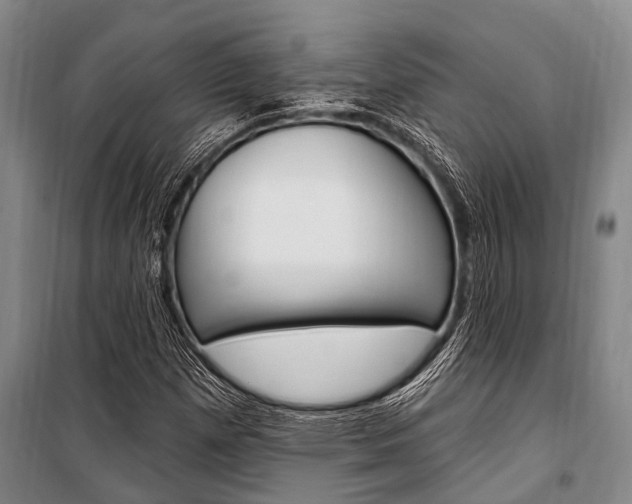 X0000101211257200806270845