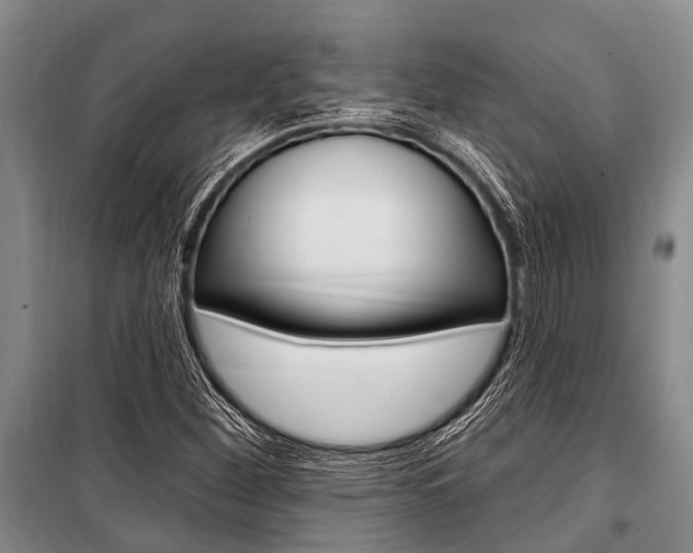 X0000101211260200806270845