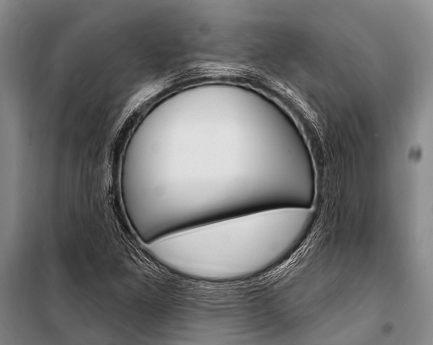 X0000101211261200806270845