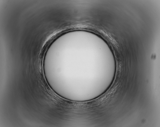 X0000101211262200806270845