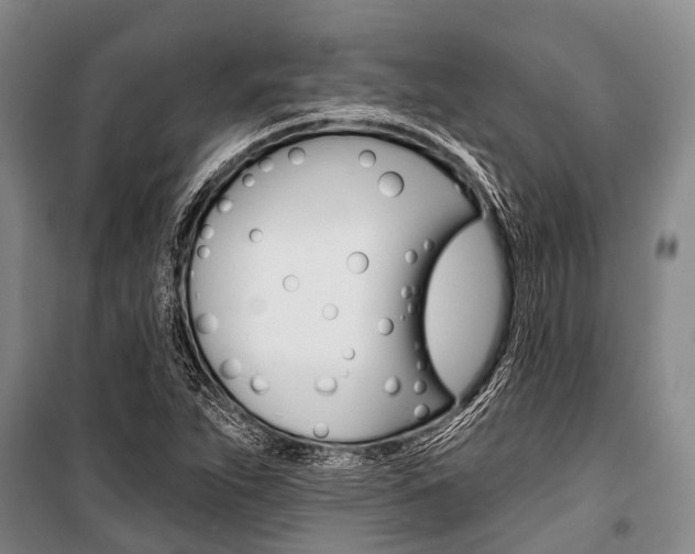 X0000101211263200806270845