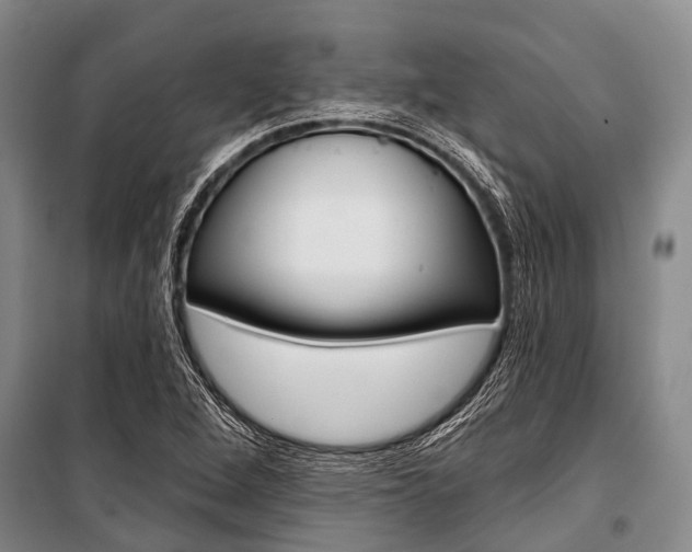 X0000101211264200806270845