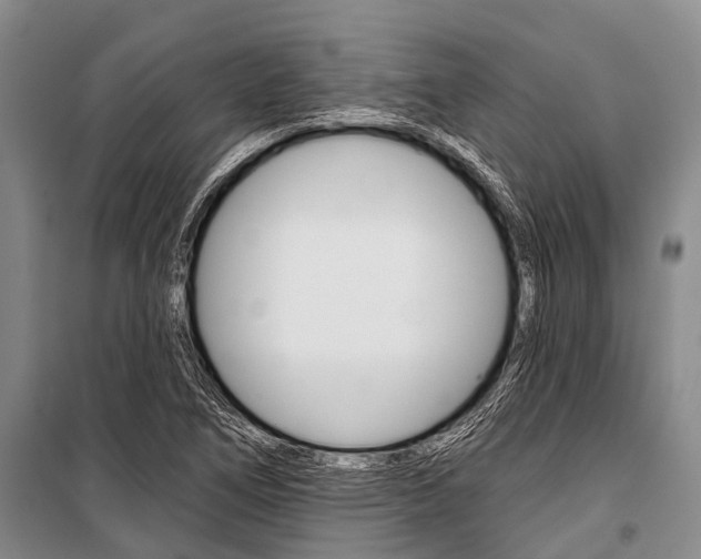X0000101211266200806270845