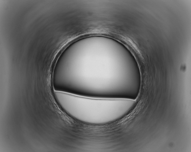 X0000101211268200806270845