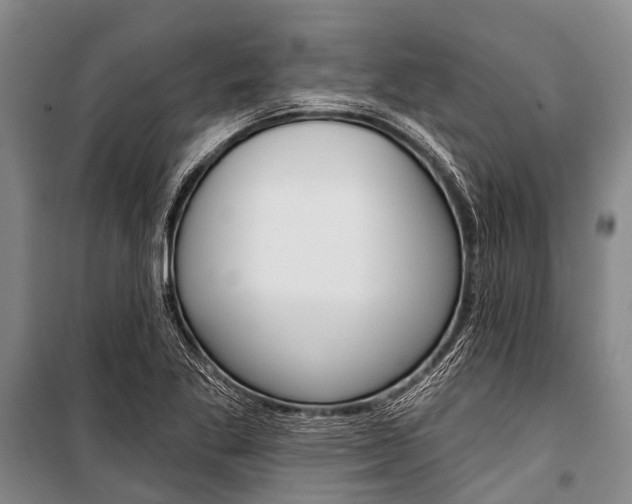 X0000101211269200806270845