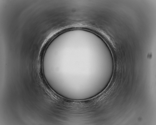 X0000101211270200806270845
