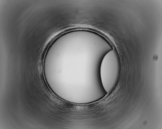 X0000101211271200806270845