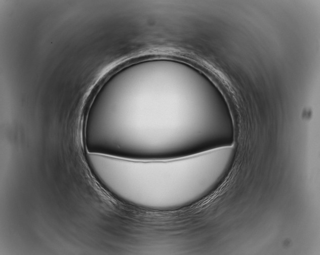 X0000101211272200806270845