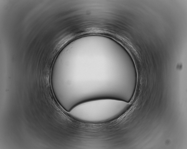 X0000101211273200806270845