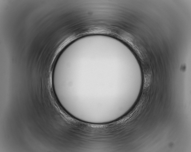 X0000101211274200806270845