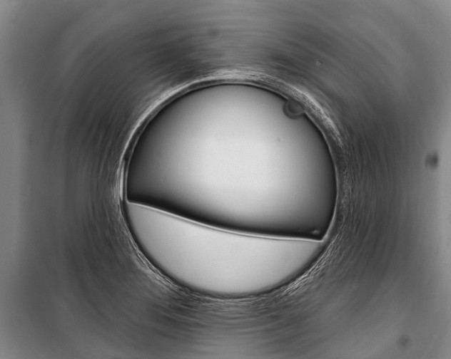X0000101211276200806270845